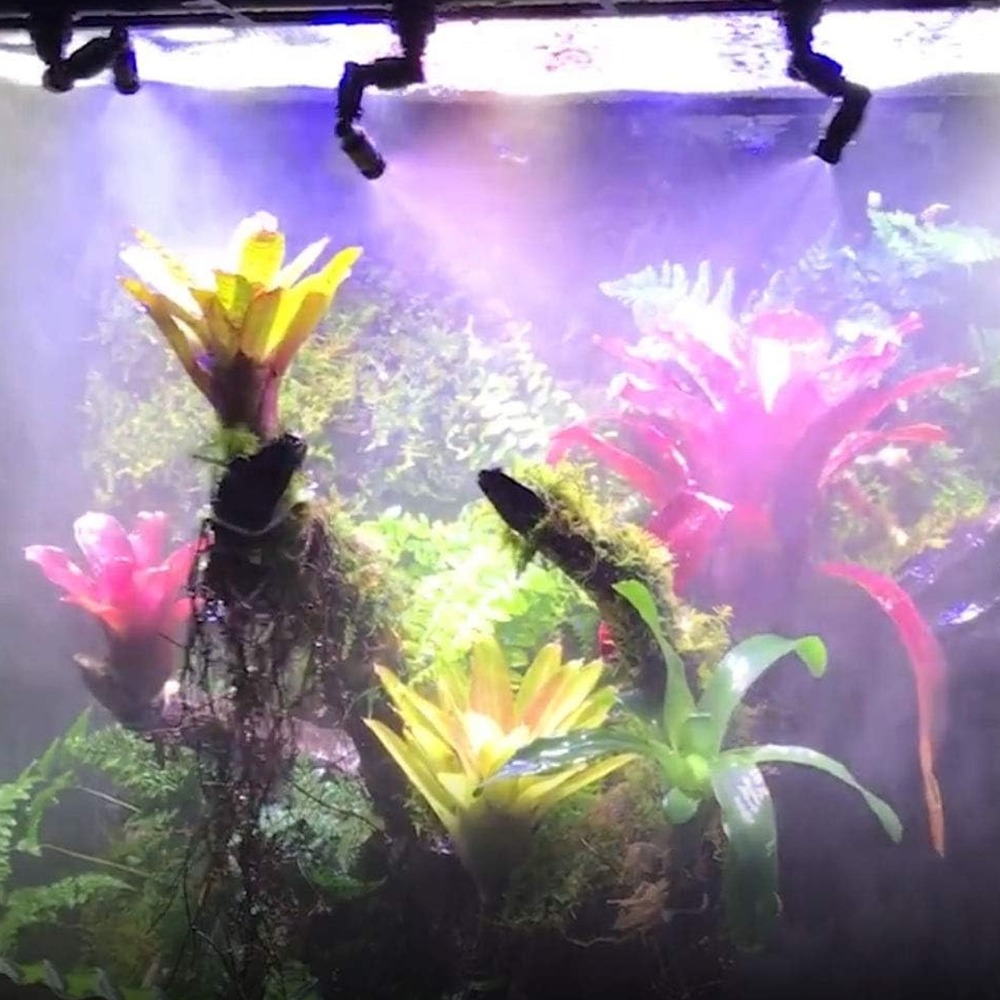 Nebulizador para Reptiles PP N - Misting Nozzle Reptile reseña y precio