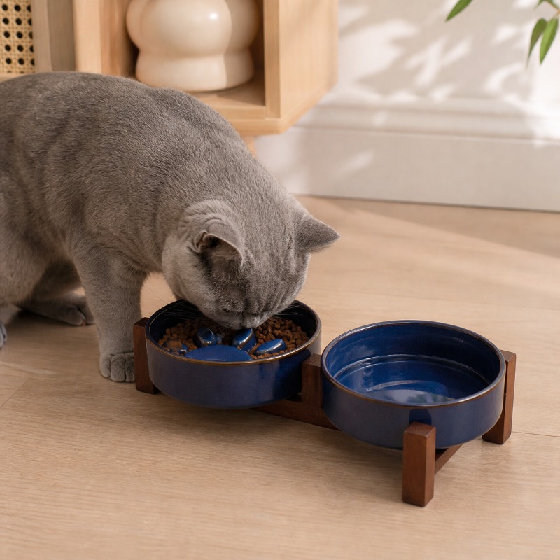 Tazón de cerámica para mascota - Royal Canin Food Medium reseña y precio