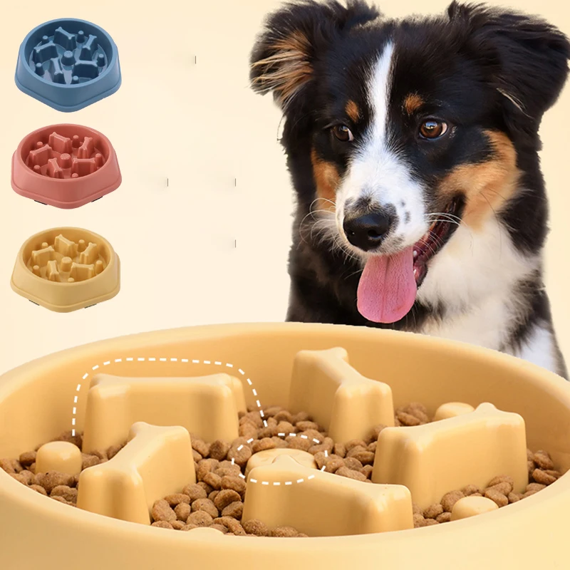 Cuenco para perros con aliment - Royal Canin Food Medium reseña y precio