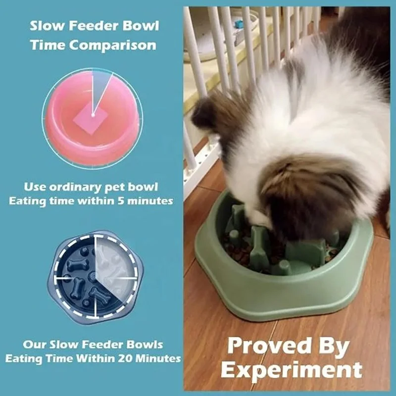 Cuenco para perros con aliment - Royal Canin Food Medium reseña y precio